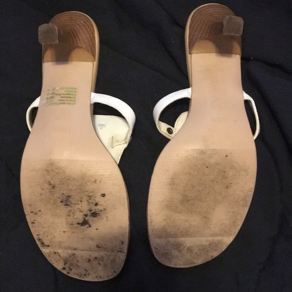 Fioni - Picture 4 of 5